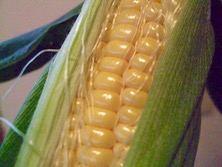 ファイル 3338-2.jpg