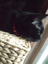 ファイル 3340-2.jpg