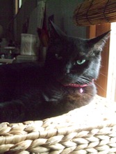 ファイル 3340-3.jpg