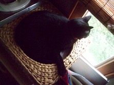 ファイル 3340-4.jpg