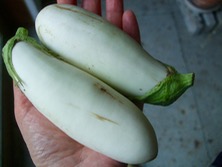 ファイル 3345-1.jpg