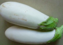 ファイル 3347-1.jpg