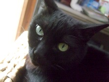 ファイル 3347-2.jpg