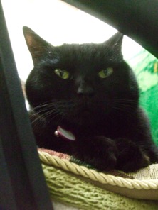 ファイル 3347-4.jpg