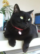 ファイル 3349-3.jpg