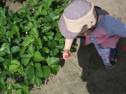 ファイル 335-1.jpg