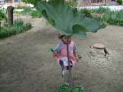 ファイル 335-2.jpg