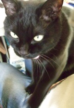 ファイル 3351-3.jpg