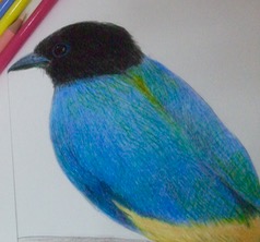 ファイル 3356-1.jpg