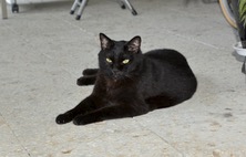 ファイル 3357-1.jpg