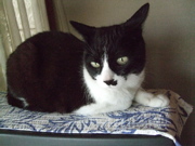 ファイル 336-1.jpg