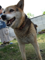 ファイル 336-2.jpg