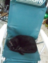 ファイル 3361-1.jpg