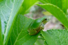 ファイル 3363-1.jpg