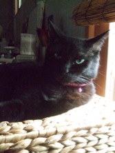 ファイル 3363-4.jpg