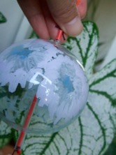 ファイル 3368-2.jpg