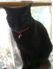 ファイル 3377-1.jpg