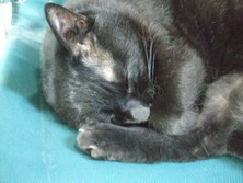 ファイル 3377-4.jpg