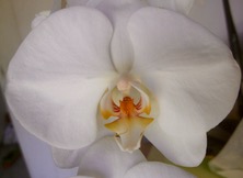 ファイル 3378-1.jpg