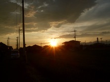 ファイル 3379-1.jpg