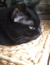 ファイル 3380-3.jpg