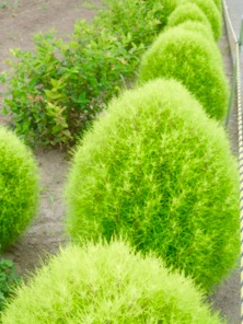 ファイル 3385-1.jpg