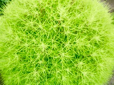 ファイル 3385-2.jpg