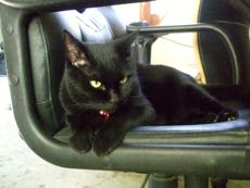 ファイル 3387-1.jpg