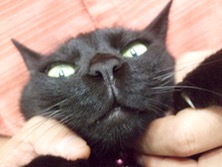 ファイル 3388-1.jpg