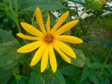 ファイル 3391-1.jpg