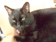 ファイル 3395-1.jpg