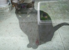 ファイル 3397-1.jpg