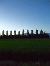 ファイル 3399-1.jpg