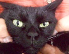 ファイル 3403-1.jpg