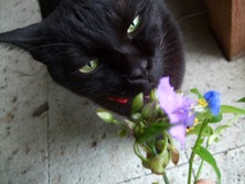 ファイル 3404-1.jpg