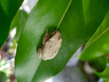 ファイル 3406-2.jpg