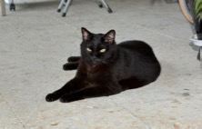 ファイル 3410-1.jpg