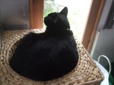 ファイル 3410-4.jpg