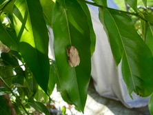 ファイル 3412-1.jpg