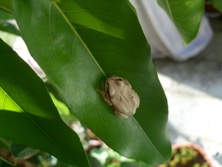 ファイル 3412-2.jpg