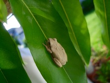 ファイル 3412-3.jpg