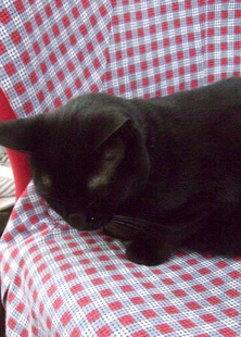 ファイル 3418-1.jpg