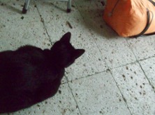 ファイル 3419-1.jpg