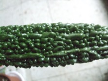 ファイル 3421-1.jpg