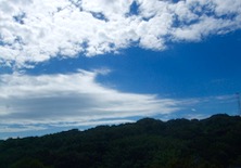 ファイル 3432-2.jpg