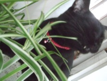 ファイル 3434-2.jpg