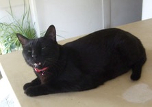 ファイル 3437-1.jpg