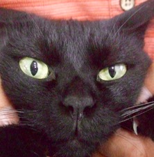 ファイル 3440-4.jpg