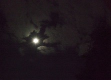 ファイル 3442-1.jpg