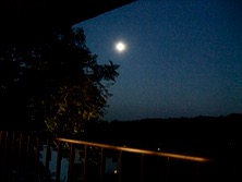 ファイル 3445-1.jpg